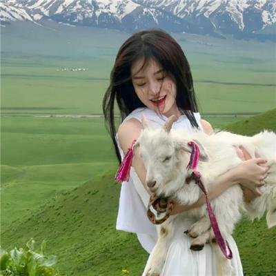 斗龙战士之星印罗盘