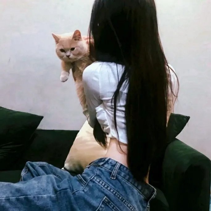 戎马春宵